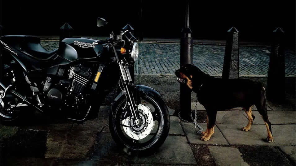 1994 speed triple and a rottweiler
