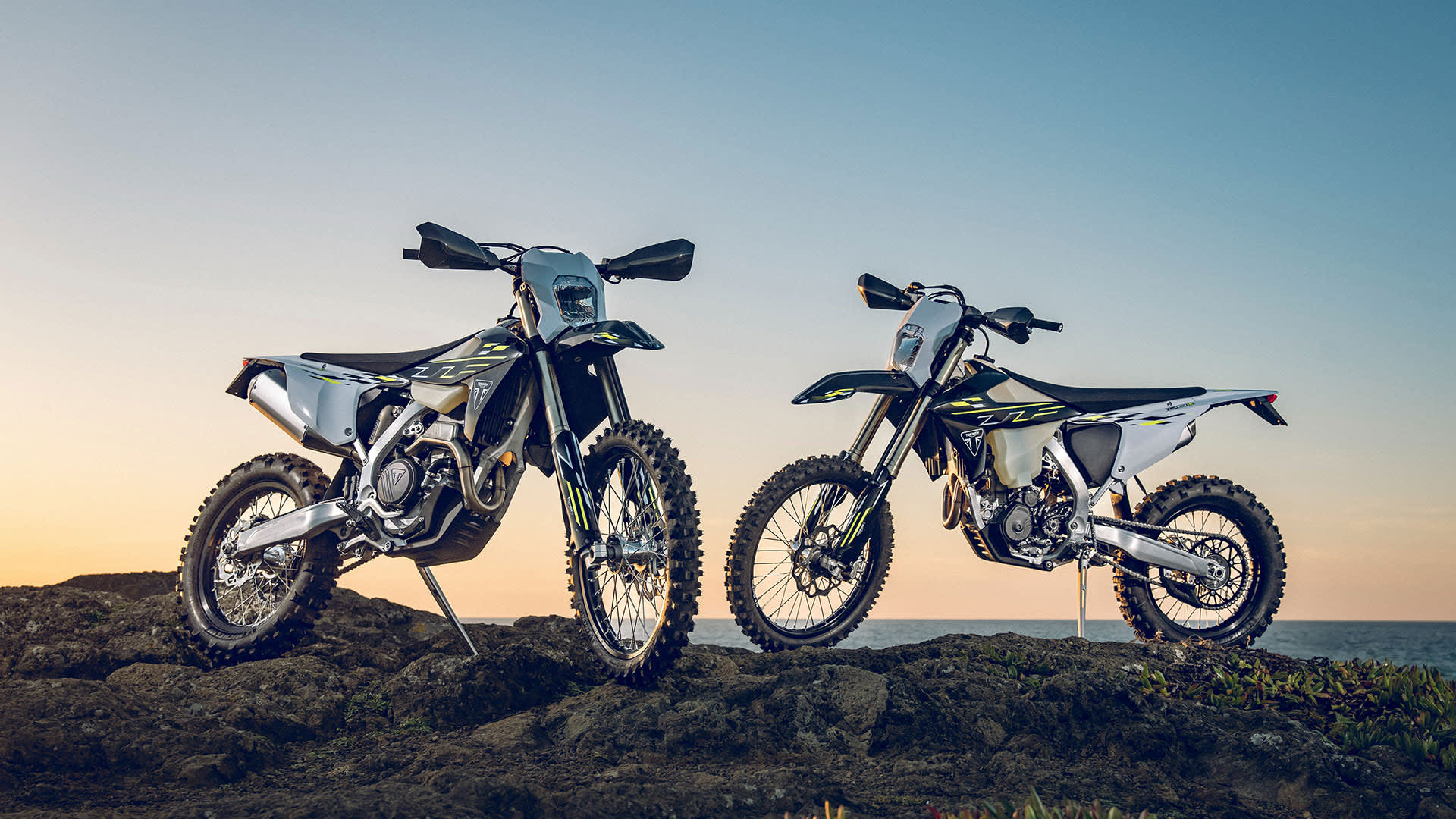 Triumph TF 250-E and TF 450-E